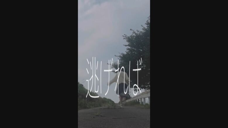 ヒナちゃんが制作した動画