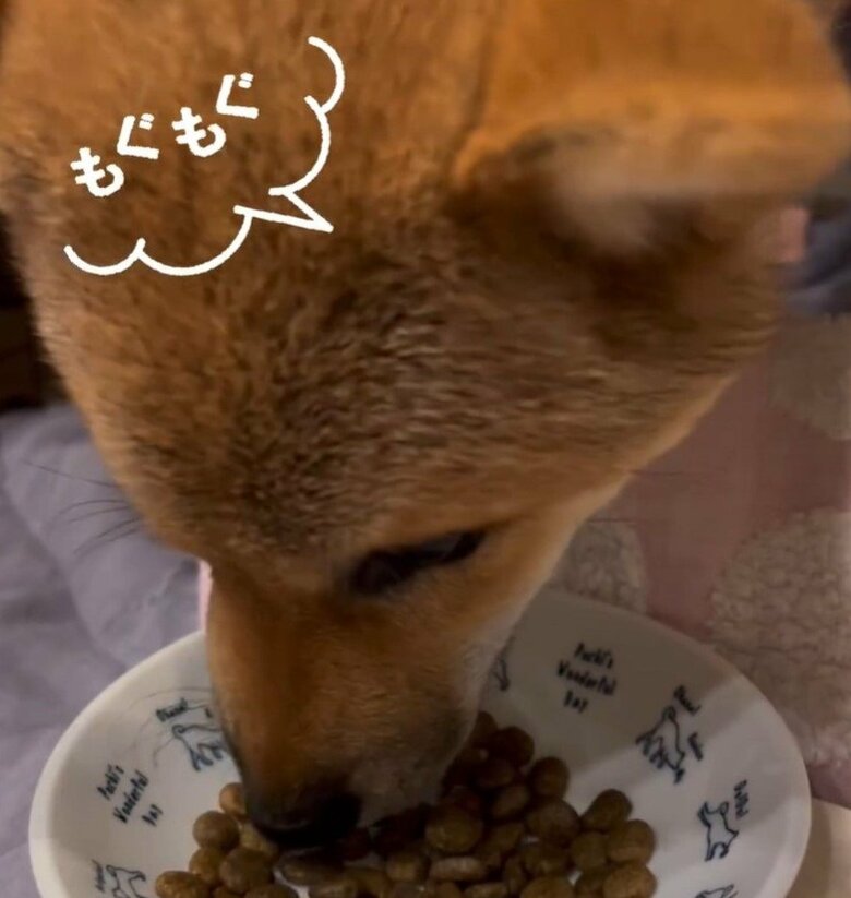 食欲旺盛ですくすくと成長