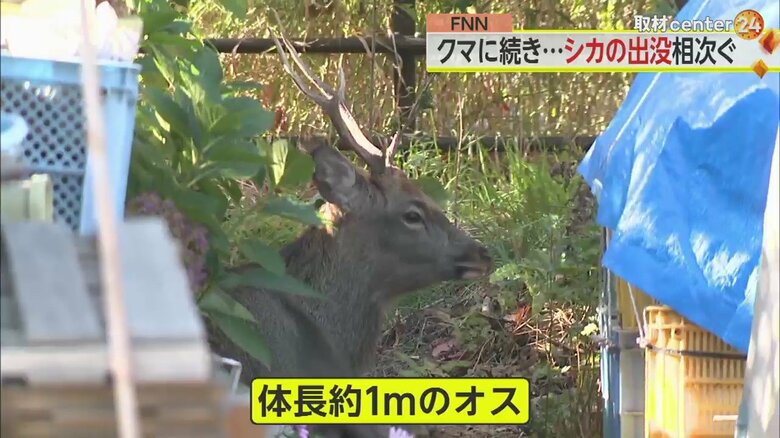 札幌市東区（25日午前9時ごろ）