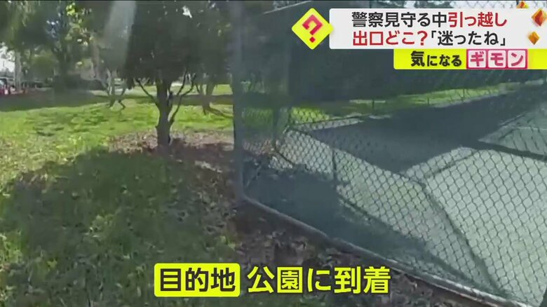 警察官に見守られて公園の池を目指すカモの親子の引っ越しシーン一連画像⑮