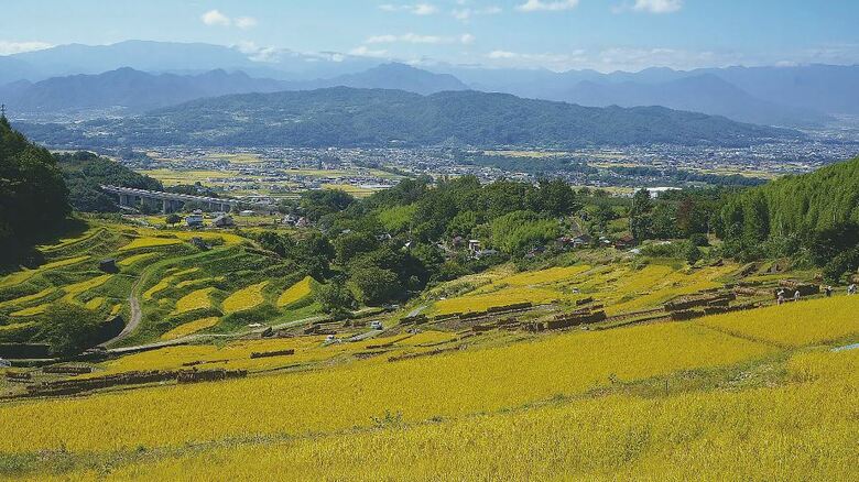 稲倉の棚田（上田市）（提供・稲倉の棚田保全委員会）