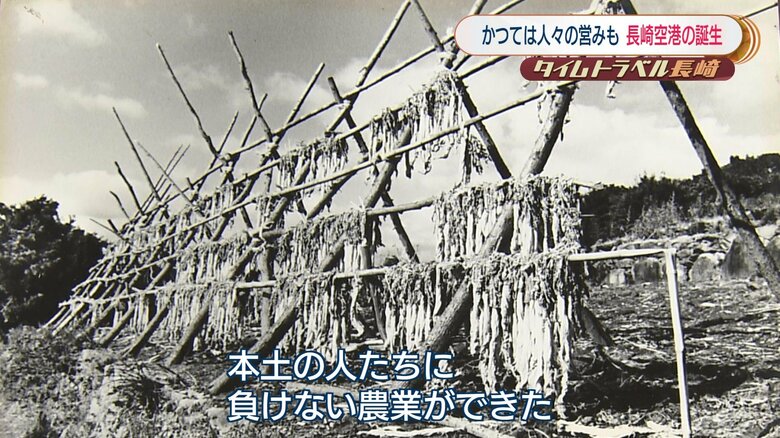 加工用の「箕島大根」が当時の特産物だった