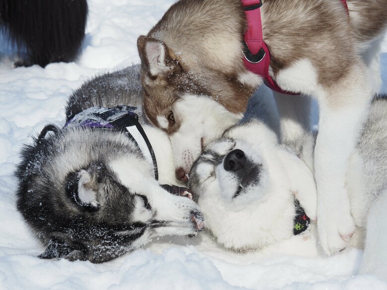 ちゃんと仲良し！