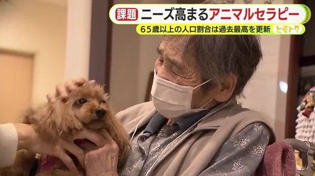 犬と触れ合う高齢者（静岡県小山町）