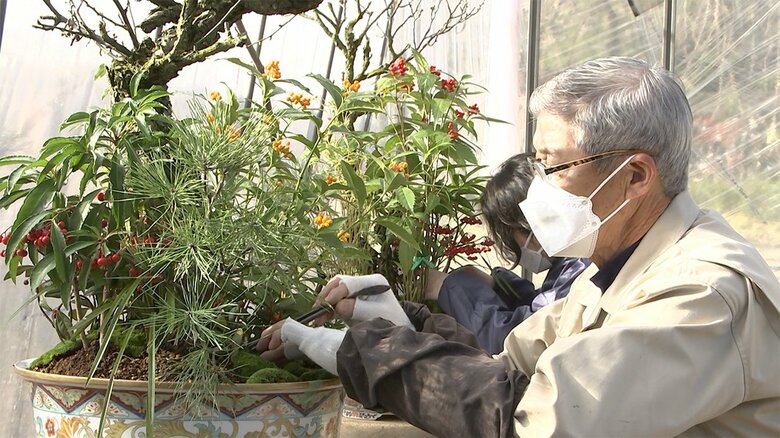 春飾りの準備が進められる「大道庭園」（去年12月26日 皇居）