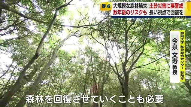森林回復のイメージ（資料）