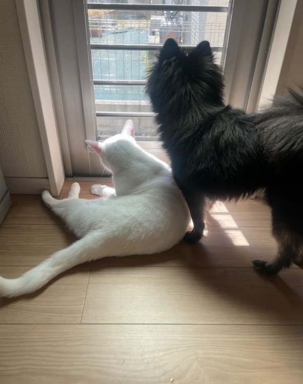 お姉ちゃんと日向ぼっこ中