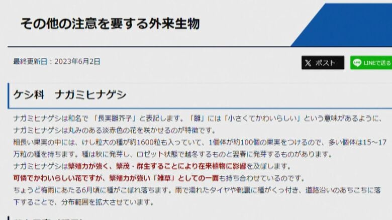 新潟市のホームページ