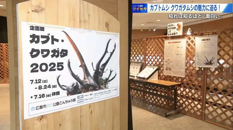 広島市森林公園「こんちゅう館」