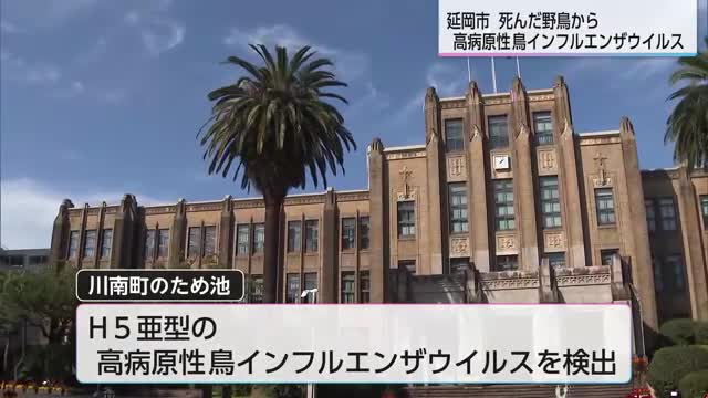 県が防疫の強化呼びかけ 延岡市で死んだ野鳥から高病原性鳥インフルエンザウイルス