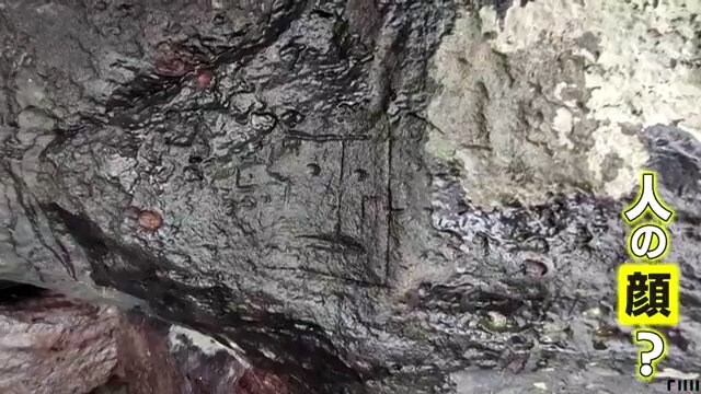 アマゾンは、2023 年の歴史的な干ばつから回復の兆しを見せています。しかし、今後数か月の気候はどうなるでしょうか?