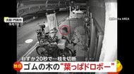 「ものすごい腹が立つ…謝って」夫からのプレゼント“ゴムの木”を切断　20秒で盗む“葉っぱドロボー”　大阪・門真市