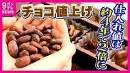 バレンタインに危機「カカオショック」価格2倍に高騰でチョコレート値上げも　異常気象原因で収穫量が低下　救世主に？国産カカオや「代替チョコ」