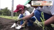 児童が「トンブリ」の苗植えに挑戦　大きく育って「食べた人が笑顔になってほしい」　秋田・大館市