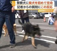 「頑張るぞ！」「ワン！」初の“柴犬”警察犬の任命式…2歳の「つぶ」が鋭い嗅覚と集中力で審査合格　岐阜県警