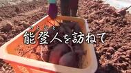 【能登人を訪ねて】#111 地震で畑が割れても、能登島の赤土でサツマイモを育てる移住者夫婦