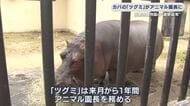 京都市動物園の「アニマル園長」はカバ　ツグミが2473票でトップ当選　6候補による選挙戦を制す　来月から動物園の魅力発信へ