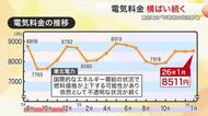 １２月の電気代は平均的な家庭で８５１１円　１１月より１０円高い　補助金終了以降は横ばい〈東北電力〉