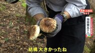 【異例】「秋の味覚」マツタケ大豊作 例年の半額以下も！ “名人…