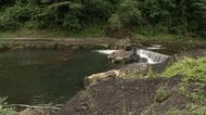 高さ3メートルの岩場から川に飛び込んだ17歳高校生が流される　蘇生処置で心拍再開も意識不明　群馬・みなかみ町