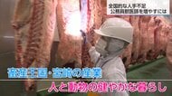 知られざる「公務員獣医師」の仕事　食肉の安全から動物愛護まで…全国的に人手不足