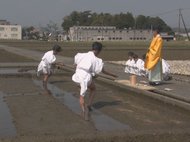 伊勢神宮の祭典に供える米を…もみ種まく『神田下種祭』 神職ら80人が豊作と農作業の安全を祈願