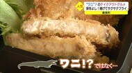 ワニ?がサクサクのフライに?山間地のテイクアウト弁当(島根・飯南町)
