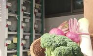 里山の住民つなぐ「無人直売所」 余った野菜を販売…いつの間にか新たな交流の場に【長野発】