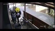 【独自】1万5000円相当 オリーブの木 人目気にせず大胆窃盗の瞬間