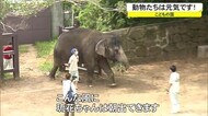 動物たちは元気です! 休園の沖縄こどもの国が動画配信中