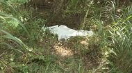 55歳隣人の男 死体遺棄で再逮捕 山梨・女性遺体事件