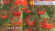 トマト嫌いの幼なじみ3人がトマト農家に　トマトっぽくなさを追求した「呉羽キャンディ」の可能性【富山発】