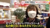 年末年始の“救世主”カインズで何買う!?【しらべてみたら】