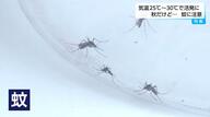 猛暑で秋に蚊が活発化　気温25~30℃が適温　専門家が語る「刺されやすい人」の特徴と対策