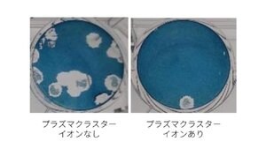 「プラズマクラスター」が空気中の新型コロナ減少に有効と実証…シャープに今後の展望を聞いた