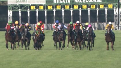 【夏競馬最終戦 新潟記念・G3】G1馬5頭が集結！C.ルメール騎手がロデオドライブと2000メートルへ