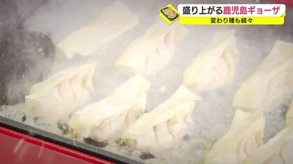 「鹿児島ギョーザ」がアツい！ ブルーベリーやレモンなど県産食材生かした“変わり種”も…日本一を目指し奮闘