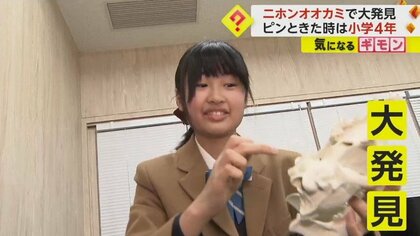 「おわーって感じ」国立科学博物館のはく製の正体を小4の時に見抜く　都内の女子中1生がニホンオオカミの論文発表