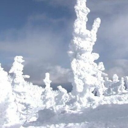 自然の造形美“蔵王の樹氷”見ごろは2月いっぱい　夜間のライトアップも実施中【山形発】