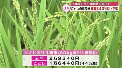 県産米の概算金　過去最高の去年より40％以上引き下げ　「備蓄米の放出などで…」　大分