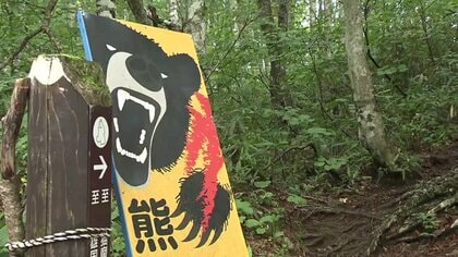 「まさか本物が来るとは」食べ物を求め人里へ　記録的な暑さでクマのエサの木の実が不作　餌場を覚えると数年は…