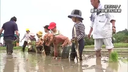 園児が田植えに挑戦　勢いよく田んぼに入って泥だらけ　10月には稲刈りも体験予定　大分