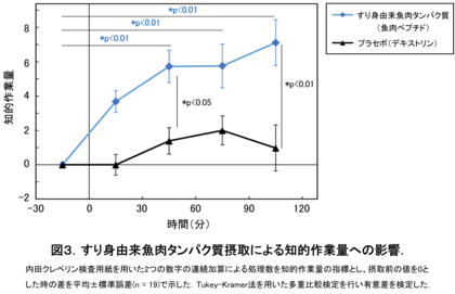すり身由来魚肉タンパク質摂取による集中力および知的作業効率の向上を確認