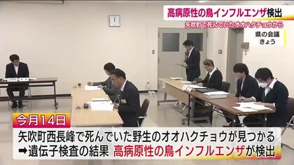 高病原性の鳥インフルエンザ　福島・矢吹町で死んでいたオオハクチョウから検出　10キロ圏内で監視強化　