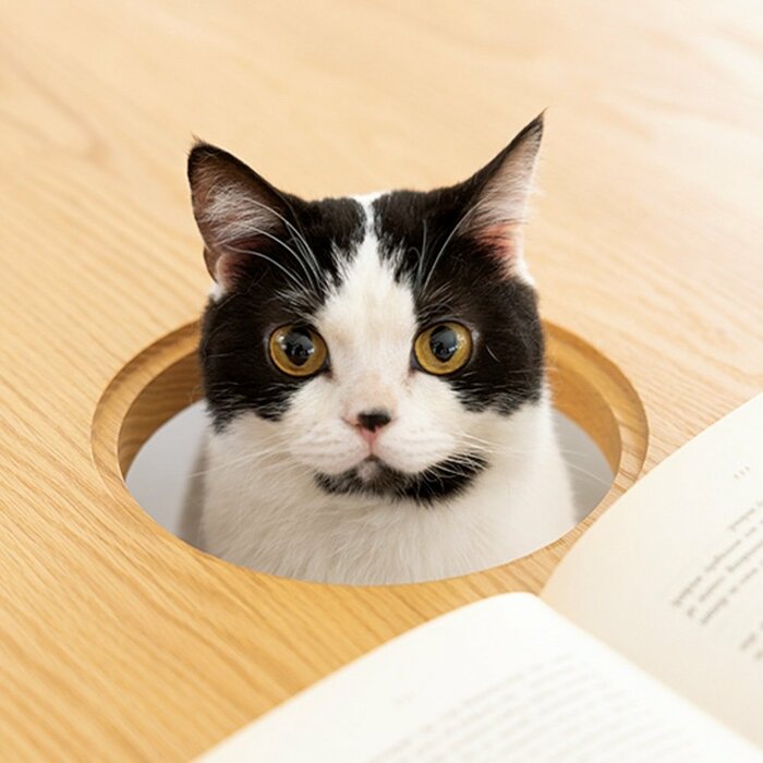 顔を出すかわいい姿を見れる