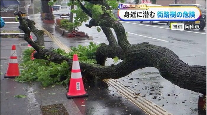 提供：岡山市