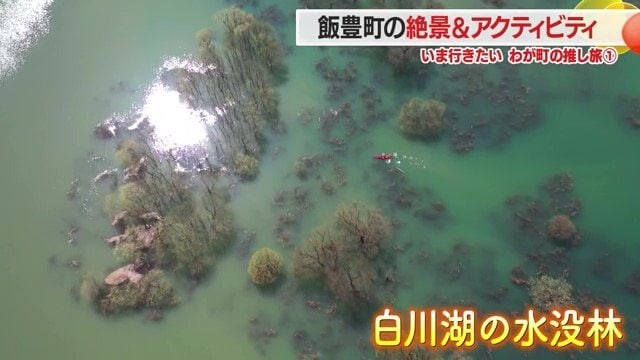 雪解け水で水位が上昇した春の一時期だけ木々が幹まで水に浸かり、幻想的な光景に包まれる