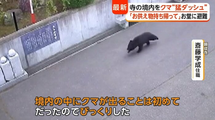 「びっくりした」と話す斎藤学成住職（願成寺）