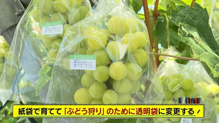 「安心院農園」