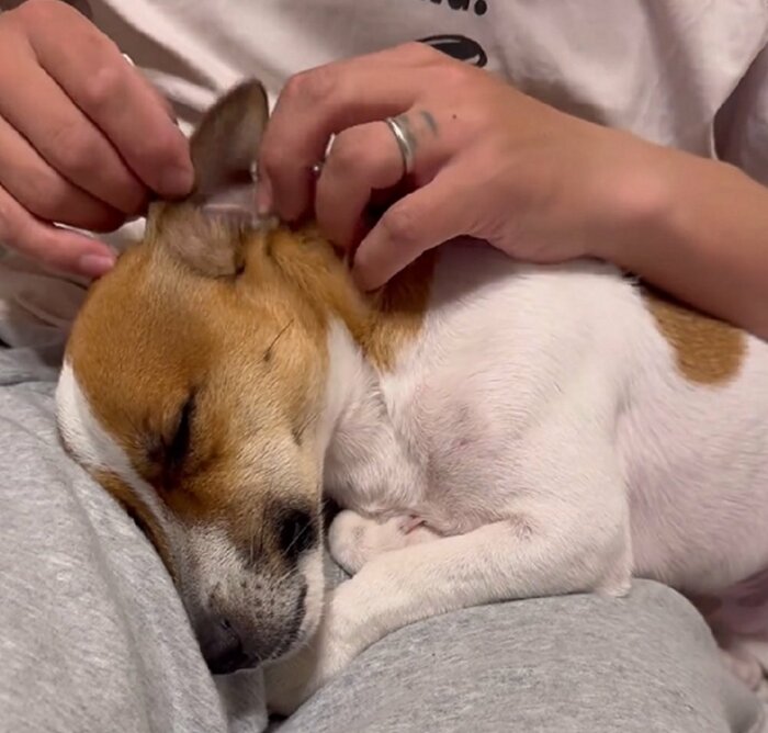 気持ちよくて、そのまま寝てしまいそうだ